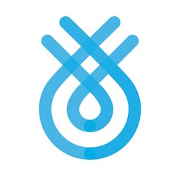 Flinks Connectivity logo